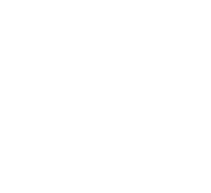 Skiandfly